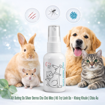 Silver Derma Spray 50ml – Xịt tái tạo & bảo vệ da cho thú cưng